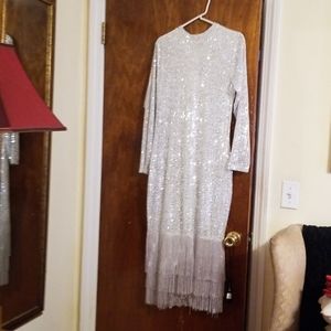 Silver Sequin Fringe Dress
